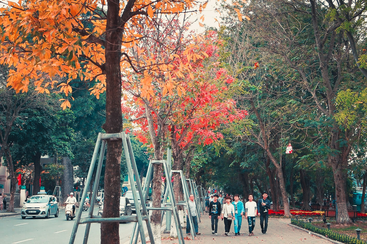 Giữa sắc trời u ám xầm xì và những cơn mưa nhỏ thì chồi non và màu lá đỏ kia giúp tâm hồn thêm ấm áp.