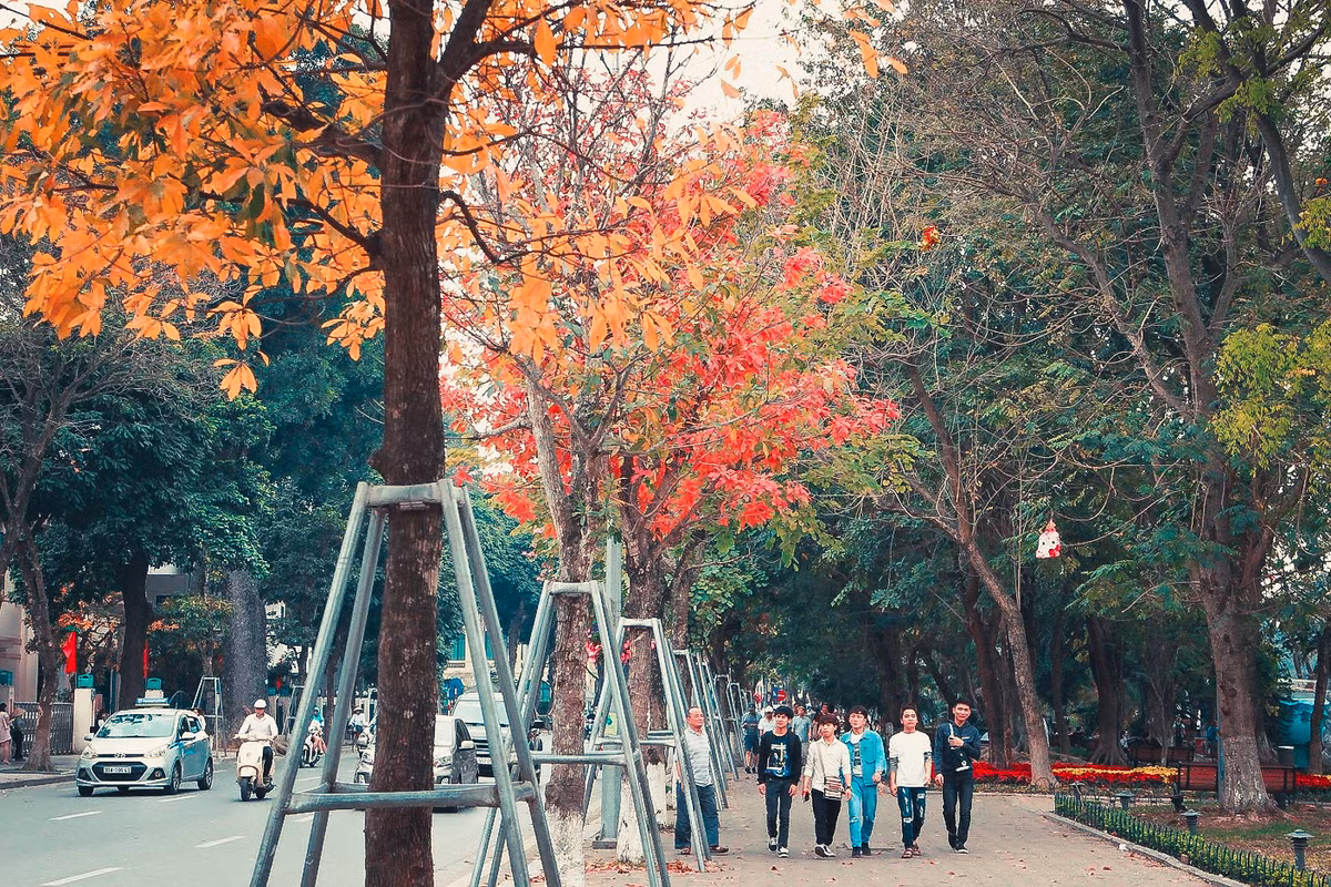 Giữa sắc trời u ám xầm xì và những cơn mưa nhỏ thì chồi non và màu lá đỏ kia giúp tâm hồn thêm ấm áp.