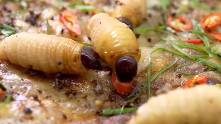 Hãy tưởng tượng, trên một chiếc bánh pizza ngon lành bỗng nhiên có những con đuông dừa bò lúc nhúc qua lại. Đặc biệt những người sợ côn trùng chắc chắn sẽ ngất xỉu khi nhìn thấy hình ảnh như vậy.