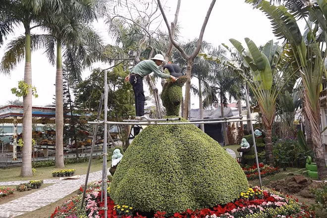 Qua bàn tay của các nghệ nhân hàng đầu Việt Nam cây cảnh hàng đầu Việt Nam, vườn cây cảnh chuẩn bị cho dịp Tết Nguyên Đán 2017 đã thành hình cùng với đó là hàng trăm loài hoa khoe đủ màu sắc.
