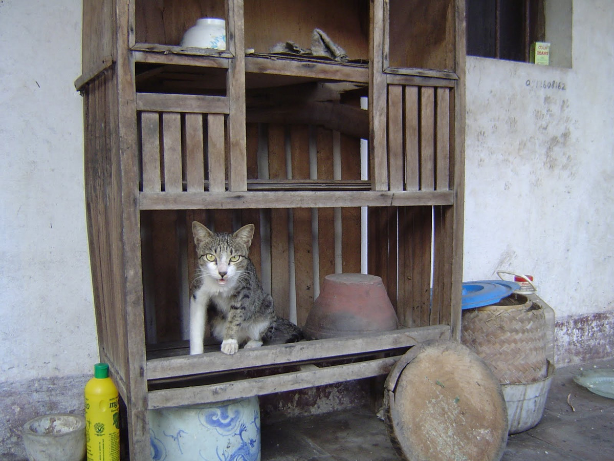 Cùng ngắm nhìn cái chạn với biết bao kỉ niệm của thế hệ 8X, 9X ngày xưa.