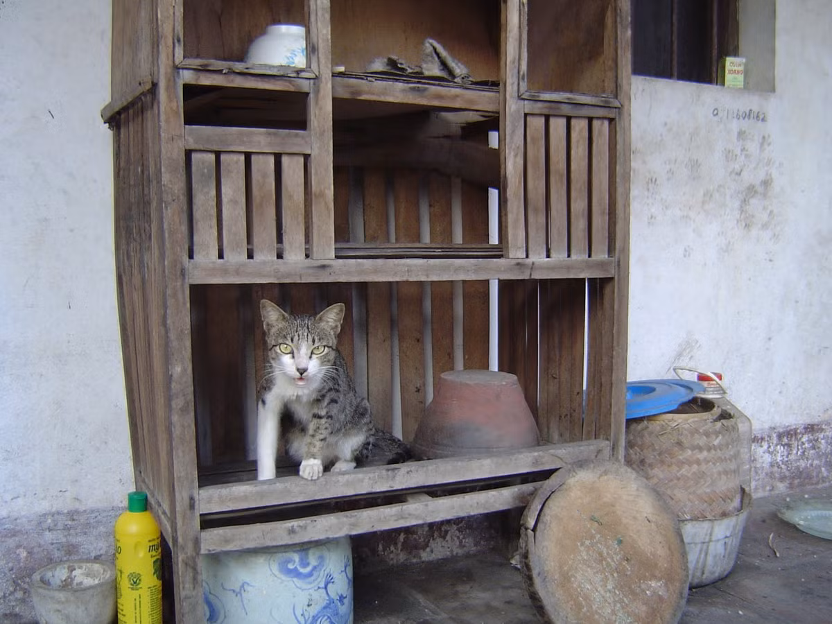 Cùng ngắm nhìn cái chạn với biết bao kỉ niệm của thế hệ 8X, 9X ngày xưa.