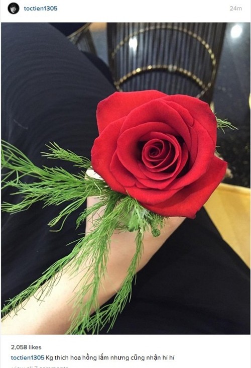 Tóc Tiên khoe hoa hồng được "ai đó" tặng.