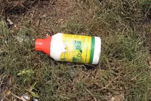 Vo nhan tam bo thuoc chuot vao long lon dau doc chong