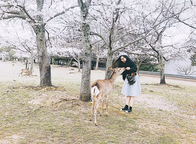 Loat anh song ao “mau muc” o Nhat cua co gai Da Nang