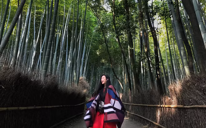 Cô bạn người Đà Nẵng check-in tại con đường tre Sagano từng khiến nhiều bạn trẻ mê mệt khi chứng kiến qua những bức ảnh.