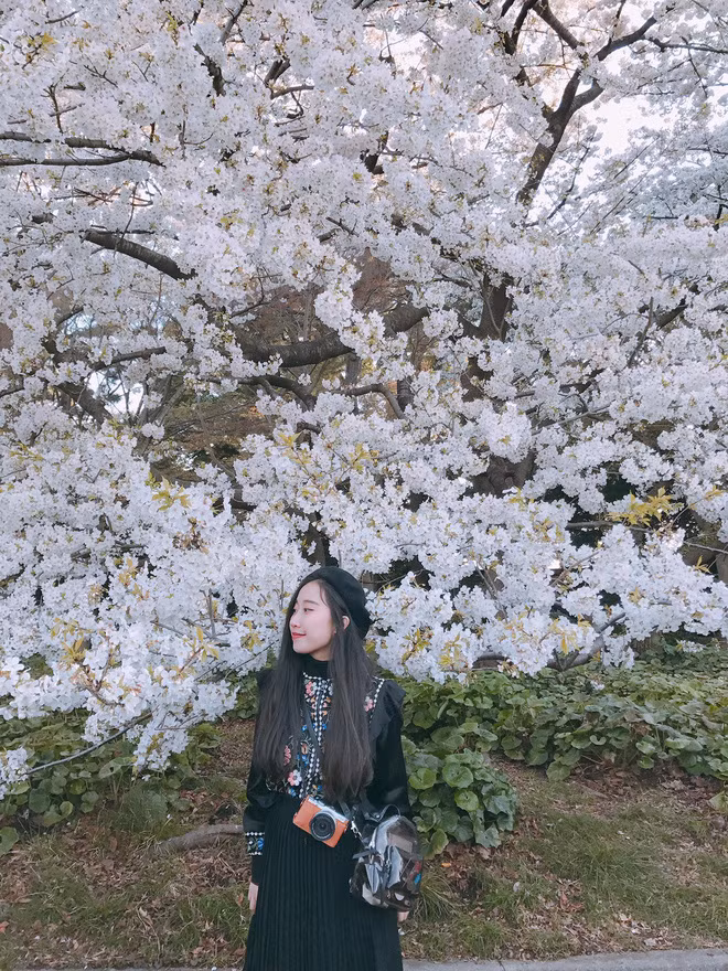 Dù ở bất cứ khung cảnh nào, góc mặt nghiêng 3/4 khi chụp đều tôn lên vẻ đẹp. Nó giúp khuôn mặt bạn có độ dài, thon gọn cùng với đó là sống mũi của bạn cũng được "tôn vinh" ở cách chụp này.