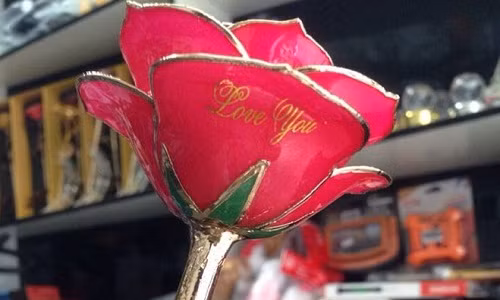 Qua cuc doc ngay 20/10: hoa hong biet noi gia beo-Hinh-2