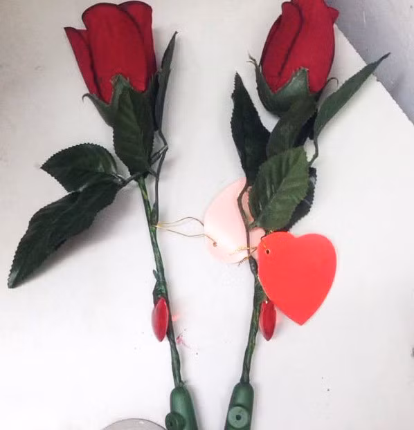 Qua cuc doc ngay 20/10: hoa hong biet noi gia beo