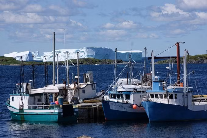 Đây là tảng băng lớn nhất từng được nhìn thấy tại "Vịnh băng trôi", có chiều cao gần 46m.