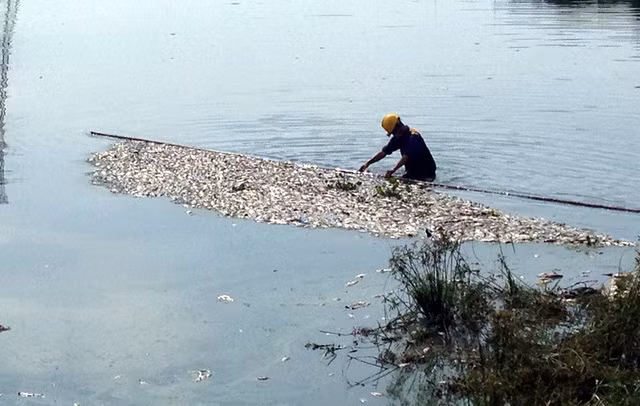 Ca chet trang, thoi um ho Yen So: Ha Noi cong bo nguyen nhan
