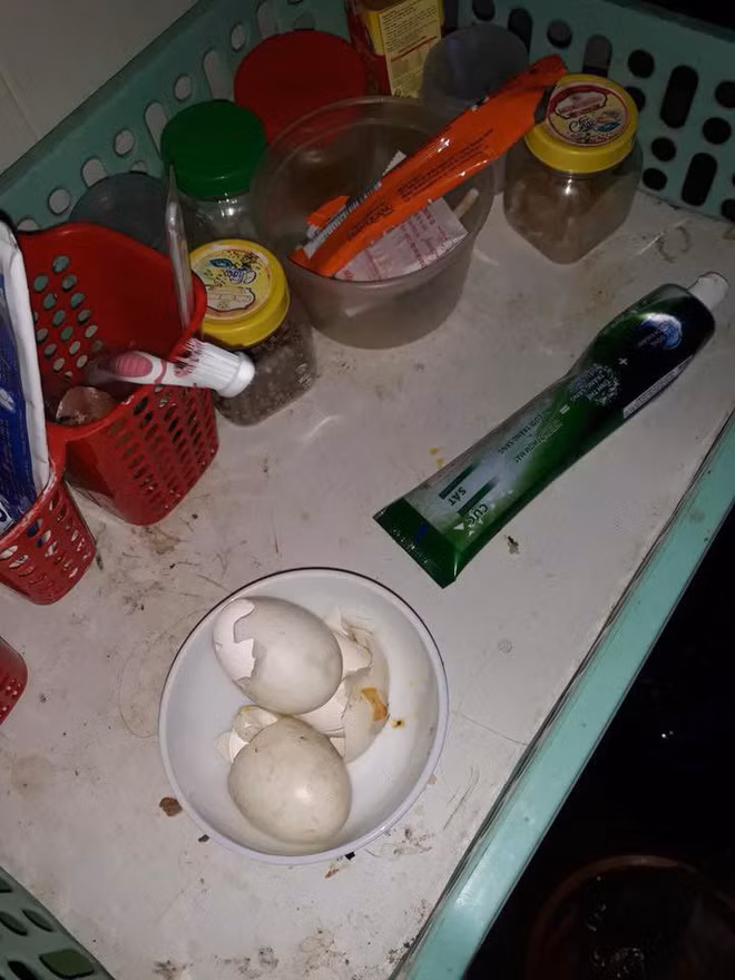 Cư dân mạng vừa qua cứ liên tục được chứng kiến hết trường hợp này đến trường hợp khác kể về các nữ sinh với "tuyệt kỹ" ở bẩn tối thượng.