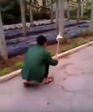 Để kiến xuất hiện trong phòng vì ăn vụng, các chiến sĩ trẻ phạt đập kiến rồi nhặt xác bàn giao lại cho chỉ huy.