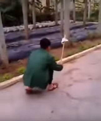 Để kiến xuất hiện trong phòng vì ăn vụng, các chiến sĩ trẻ phạt đập kiến rồi nhặt xác bàn giao lại cho chỉ huy.