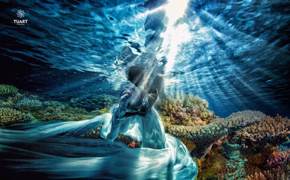 Cũng chính từ việc chụp dưới nước đã mang đến cho bộ ảnh cưới d có được ánh sáng huyền ảo mang đến một cái nhìn đầy mê hoặc.