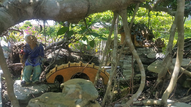 Bên dưới, còn được phối cảnh trông rất bắt mắt làm tăng vẻ đẹp của cây.