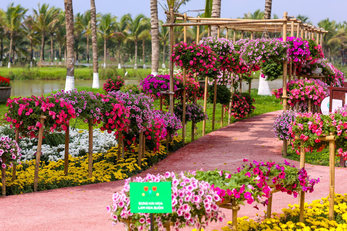 Tuy nhiên, chỉ sau 1 ngày mở cửa, lễ hội hoa tại khu đô thị Ecopark đã nhận nhiều ý kiến trái chiều từ những người tới tham dự.