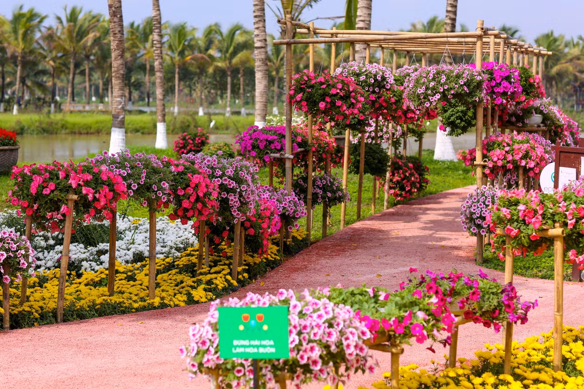 Tuy nhiên, chỉ sau 1 ngày mở cửa, lễ hội hoa tại khu đô thị Ecopark đã nhận nhiều ý kiến trái chiều từ những người tới tham dự.