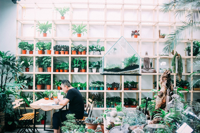 Những chậu cây nhỏ xinh được bày khắp xung quanh quán mang đến cho người ta một cảm giác vô cùng cùng dễ chịu. Đi kèm đó là những bộ bàn ghế gỗ sắp xếp khéo léo khiến ở góc nào, bạn cũng kết nối với thiên nhiên.