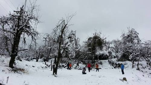 Những cành cây bị đóng băng khiến khung cảnh tại Mẫu Sơn chẳng khác gì những mùa đông tại những nước có khí hậu hàn đới với bốn bề là tuyết trắng.