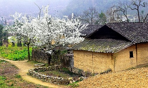 Nhưng càng vào sâu mùa đông, vùng đất địa đầu tổ quốc này cũng không kém phần quyến rũ. Nếu du khách nào muốn cảm nhận được cái lạnh cắt da cắt thịt của miền Bắc thì hãy đến với Hà Giang để cảm nhận điều này.