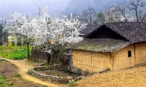 Nhưng càng vào sâu mùa đông, vùng đất địa đầu tổ quốc này cũng không kém phần quyến rũ. Nếu du khách nào muốn cảm nhận được cái lạnh cắt da cắt thịt của miền Bắc thì hãy đến với Hà Giang để cảm nhận điều này.