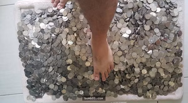 Hàng ngày, vợ chồng Gou đều bỏ vào "ống tiết kiệm" một số tiền nhất định. Sau hai năm họ đã quyết định mổ lợn để đếm thành quả của mình và cũng là để "tậu" một chiếc xe hơi mới, phục vụ cho việc đi lại của cả hai.