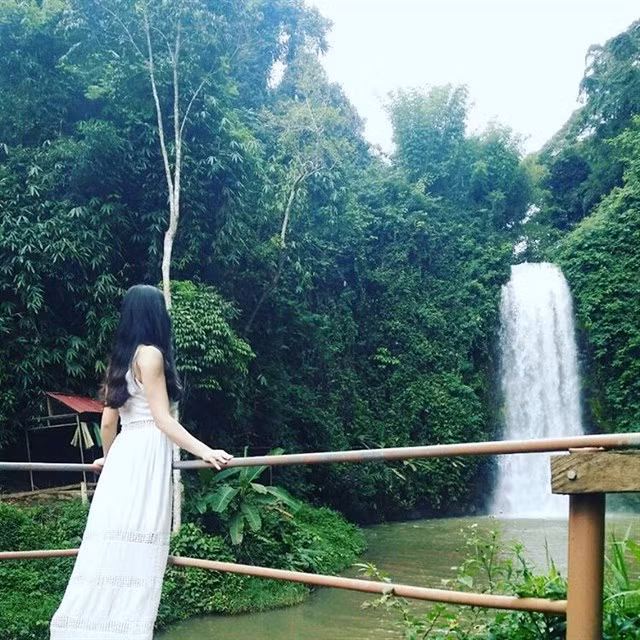 Tổng diện tích rừng khoảng 140.000ha khu du lịch Măng Đen nằm cách trung tâm huyện Kon Plong khoảng 1km, du khách có thể ngắm được những thảm thực vật xanh ngát, bạt ngàn thông xen kẽ màu tím của hoa sim phủ kín núi đồi, xa xa có hàng chục hồ và dòng thác mát bung bọt trắng xóa ngày đêm ở khu nghỉ dưỡng này.