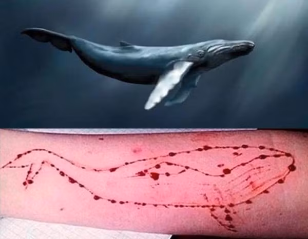 Trước đó, một trào lưu khác được đánh giá có mức độ nguy hại lớn, một thời từng được cảnh báo trên rất nhiều phương tiện truyền thông vì đã gây ra cái chết cho không ít người. Đó là Thử thách cá voi xanh (Blue Whale Challenge) xuất hiện trên Youtube.