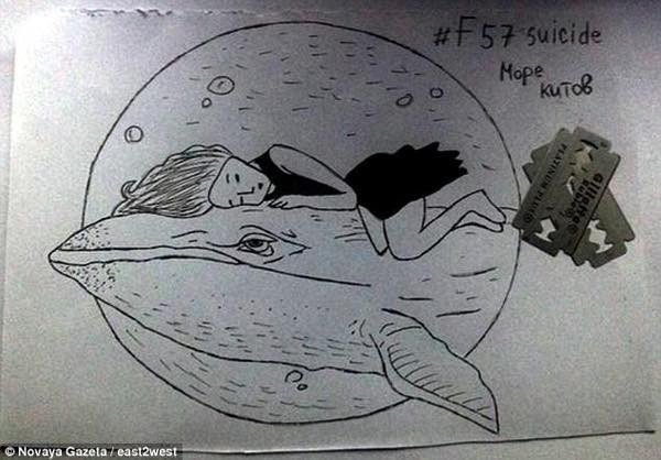 Khi tham gia thử thách cá voi xanh, người chơi được yêu cầu trong vòng 50 ngày phải thực hiện hàng loạt thử thách từ dễ đến khó, như: vẽ hình cá voi, trao đổi thông tin về cá voi xanh, xem phim kinh dị một mình. Đến ngày thứ 50, người chơi sẽ buộc phải tự kết liễu đời mình, lấy "cảm hứng" từ việc những con cá voi xanh lao lên bãi biển tự sát.