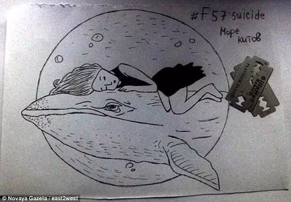 Khi tham gia thử thách cá voi xanh, người chơi được yêu cầu trong vòng 50 ngày phải thực hiện hàng loạt thử thách từ dễ đến khó, như: vẽ hình cá voi, trao đổi thông tin về cá voi xanh, xem phim kinh dị một mình. Đến ngày thứ 50, người chơi sẽ buộc phải tự kết liễu đời mình, lấy "cảm hứng" từ việc những con cá voi xanh lao lên bãi biển tự sát.