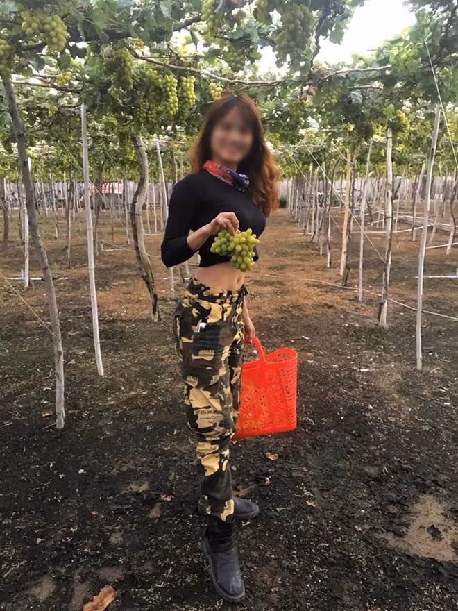 Trong bài viết của mình, nữ phượt thủ TT cho rằng cô và người bạn đồng hành của mình ghé vào một vườn nho bên đường để chụp ảnh, tham quan. Một người dân đã dẫn 2 nữ phượt thủ này tới tận vườn, thông báo 1 ký nho xanh có giá 60.000 đồng, tham quan miễn phí.