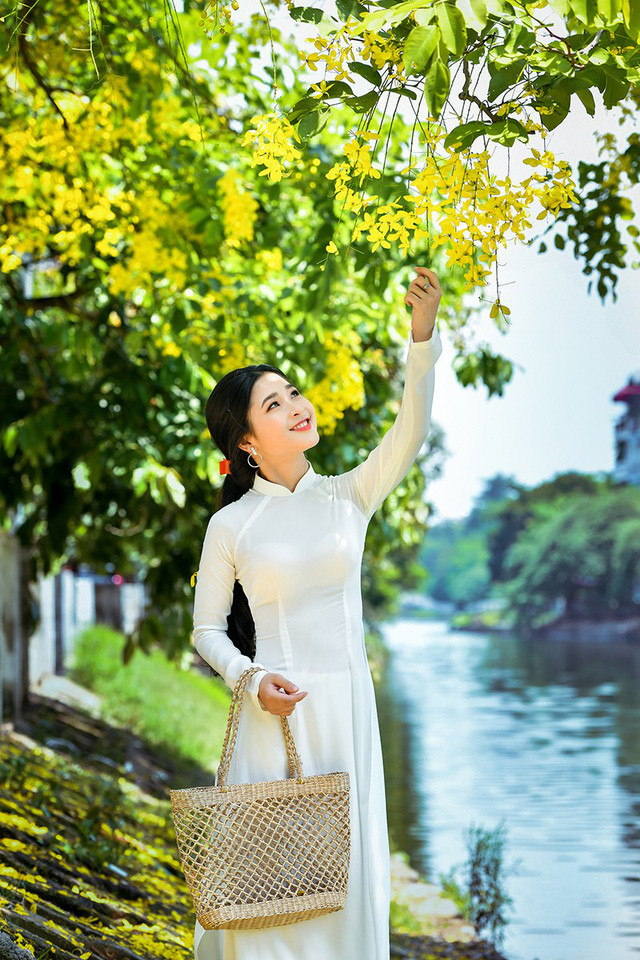 Vẻ đẹp Kim Khánh như tỏa sáng rực rỡ hơn dưới sắc vàng của hoa hoàng yến khiến những góc ảnh của nhiếp ảnh gia Xuân Bách trở nên vô cùng cuốn hút.