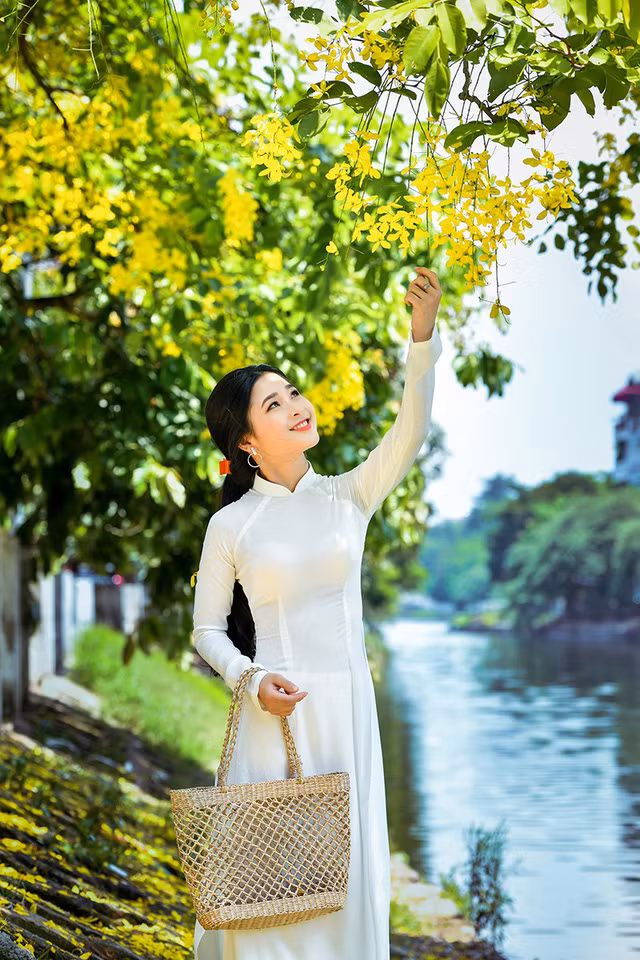 Vẻ đẹp Kim Khánh như tỏa sáng rực rỡ hơn dưới sắc vàng của hoa hoàng yến khiến những góc ảnh của nhiếp ảnh gia Xuân Bách trở nên vô cùng cuốn hút.