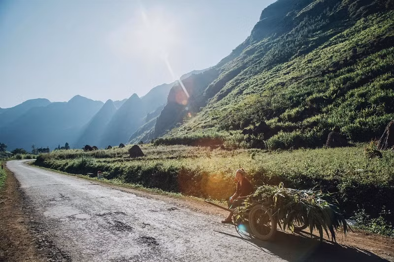 Mong ước của có thể tự do tung đôi cánh đi khắp mọi nơi và luôn mong có được sự thấu hiểu và ủng hộ của bố mẹ.