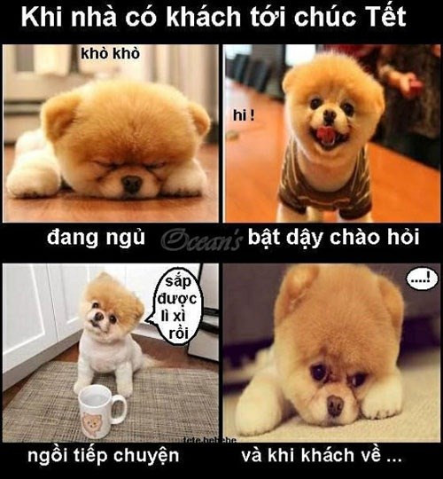 Quy trình nhận tiền lì xì.