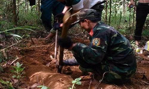 Gia chu phat hien 3 qua bom trong vuon nha khi lam vuon