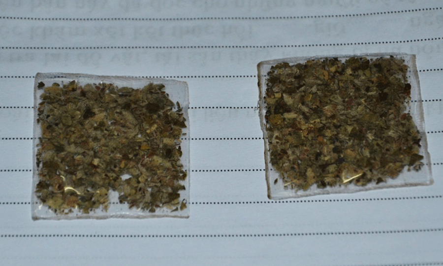 Nếu tìm hiểu kĩ hơn trên mạng xã hội, có rất nhiều những dân mạng dùng nickname ảo để buôn bán, kinh doanh trái phép loại nấm này. Thậm chí, nhiều người bán còn hướng dẫn rất tận tình cho các "khách chơi" của mình từng chặng đường mà họ sẽ trải qua. Thời gian cho mỗi quãng đường "phê pha" có thể lên tới 6 - 20 tiếng đồng hồ tùy thể trạng của người sử dụng.