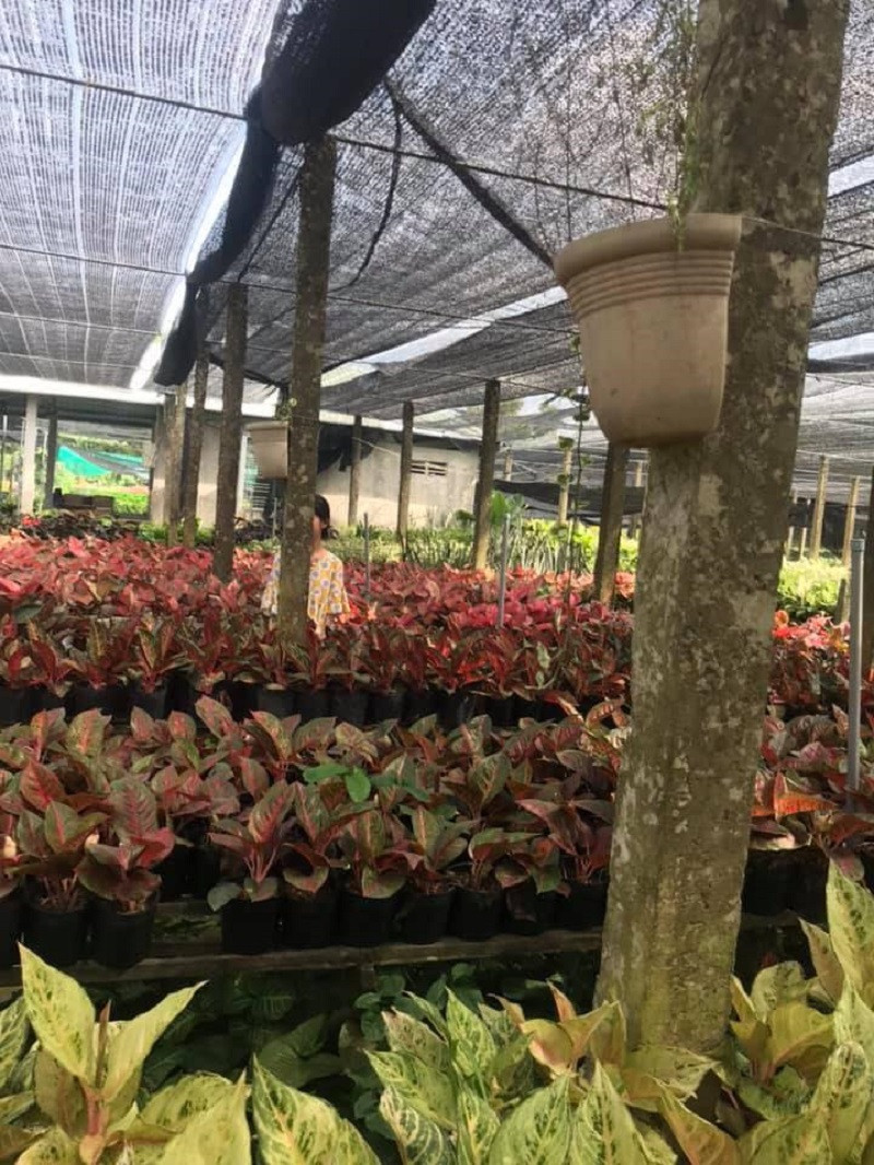 Chắc hẳn, các cô gái khi bước vào tình yêu cũng đặt ra hàng loạt những tiêu chí cho chàng trai của mình như: ga lăng, đẹp trai, tài giỏi, thông minh, hài hước… Thế nhưng bây giờ, sau nhiều lần đau thương, các cô nàng gạt hết mọi tiêu chí, chỉ còn cần biết chụp ảnh có tâm.