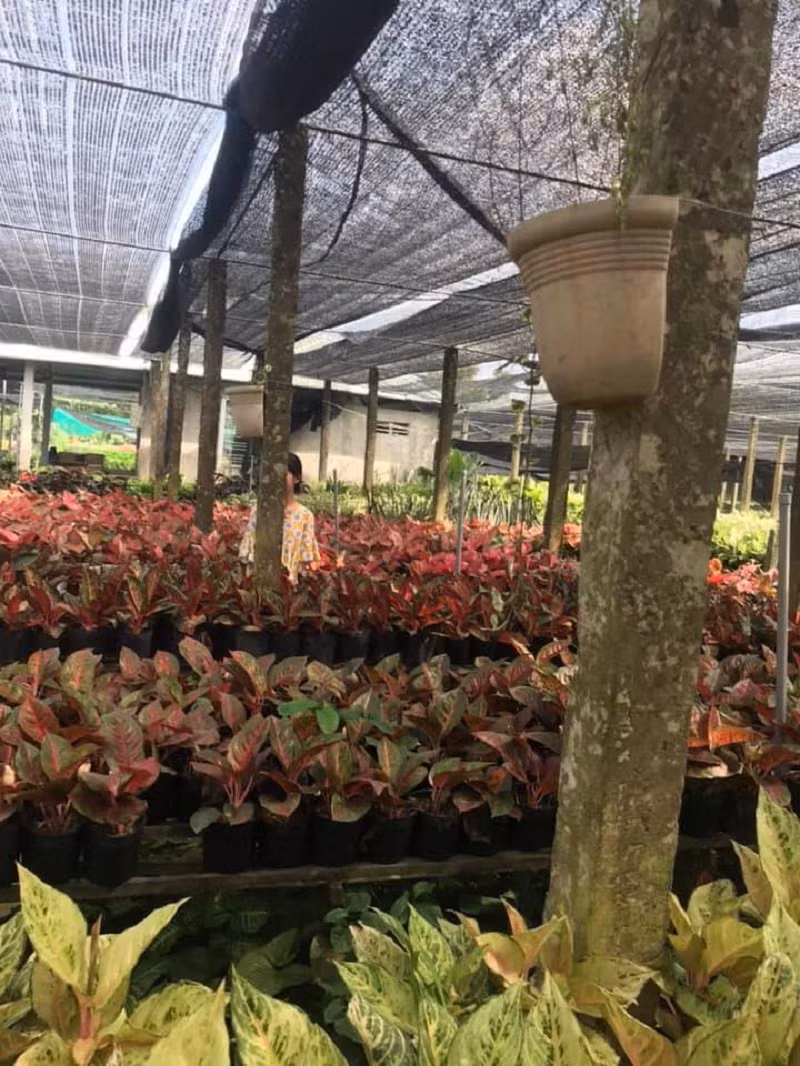 Chắc hẳn, các cô gái khi bước vào tình yêu cũng đặt ra hàng loạt những tiêu chí cho chàng trai của mình như: ga lăng, đẹp trai, tài giỏi, thông minh, hài hước… Thế nhưng bây giờ, sau nhiều lần đau thương, các cô nàng gạt hết mọi tiêu chí, chỉ còn cần biết chụp ảnh có tâm.