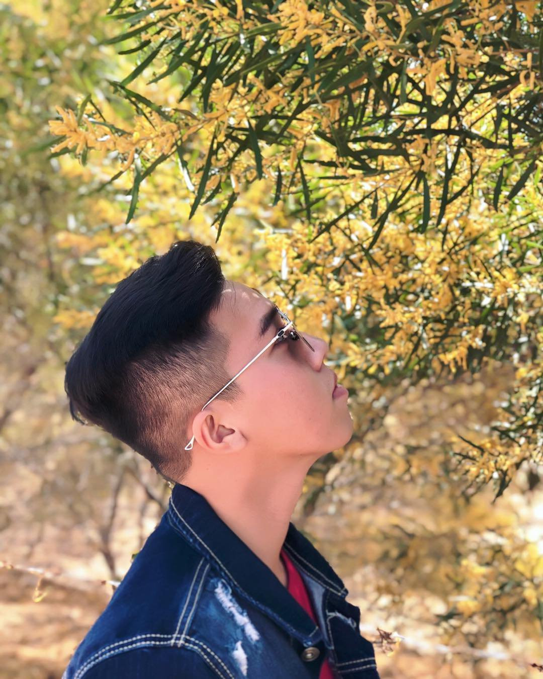 Những cây keo lá tràm không quá cao, bông hoa nhỏ, dạng bông đuôi sóc có màu vàng bóng, điều đặc biệt là mỗi cây có hàng ngàn cách hoa tỏa nắng khác nhau.