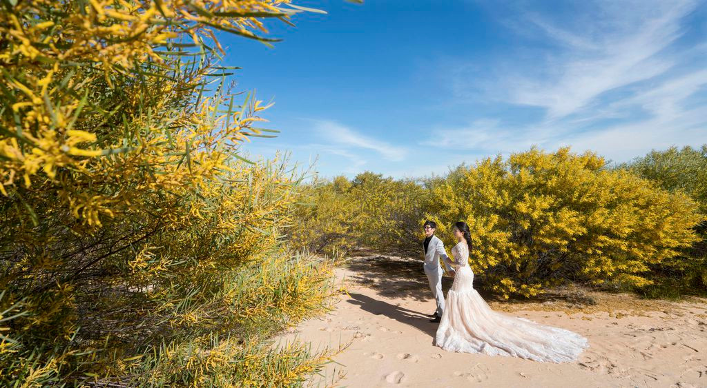 Phan Thiết đã quá nổi tiếng với những đồi cát mênh mông tựa như hoang mạc rồi, nằm ngay ở tỉnh lộ 706 của thành phố Phan Thiết, sát ngay rừng hoa keo lá tràm vàng rực chính là đồi cát bay Mũi Né.