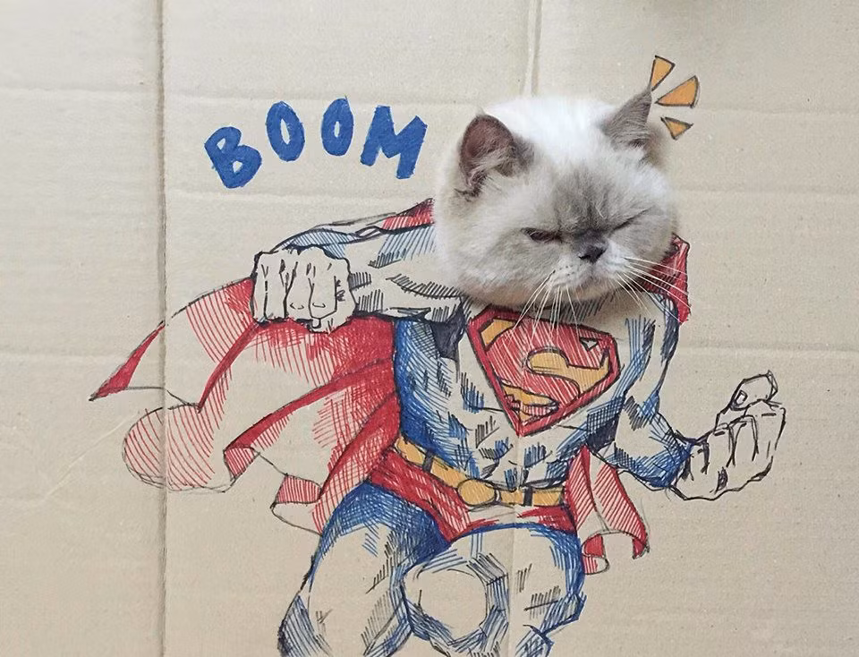 Nickname Trang Minh Hà có viết: "Con sen rảnh mà vẽ có tâm ghê, nhìn đáng yêu lắm luôn đó, cứ thế phát huy nha"