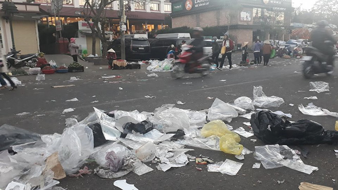 Trong dịp Tết dương lịch 2019, cánh đồng hoa này đã thu hút hàng chục ngàn khách tới tham quan, chụp ảnh. Tuy nhiên, sau lễ rất nhiều cây hoa bị giẫm đạp, rất nhiều bông hoa bị ngắt chỉ còn trơ trụi cuống.