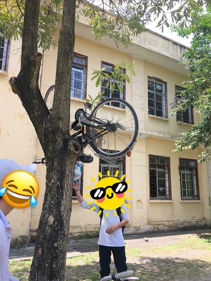 Treo xe lên cây cho đỡ nắng là lý do mà các bạn học sinh đưa ra để biện minh cho trò nghịch quái đản của mình.