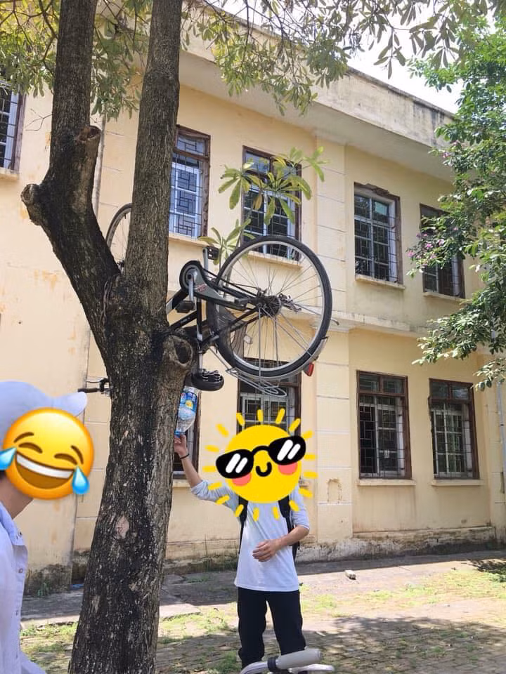Treo xe lên cây cho đỡ nắng là lý do mà các bạn học sinh đưa ra để biện minh cho trò nghịch quái đản của mình.