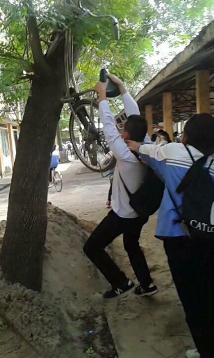Một nam sinh bị bạn gái tóm trọn khi đang thực hiện âm mưu treo xe đạp lên cây.