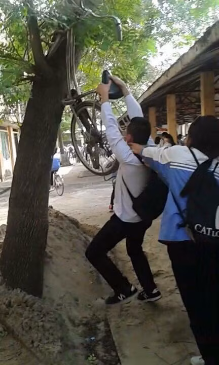 Một nam sinh bị bạn gái tóm trọn khi đang thực hiện âm mưu treo xe đạp lên cây.