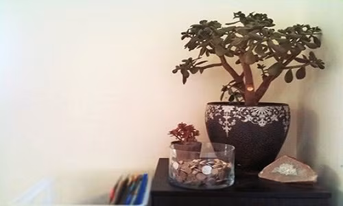 Meo phong thuy don gian de “tien vao ao at” trong nam moi