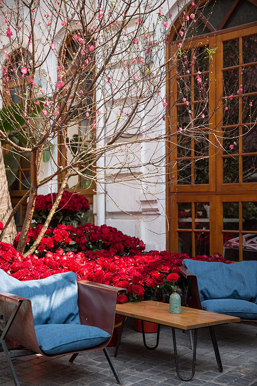 Nhà 9NKC là quán cafe kiêm nhà hàng. Đây là địa điểm phục vụ xuyên Tết âm lịch được nhiều bạn trẻ lựa chọn trong vài năm vừa qua. Tới đây, các bạn sẽ được hưởng trọn vẹn không khí tết với cách bài trí khá ấn tượng.